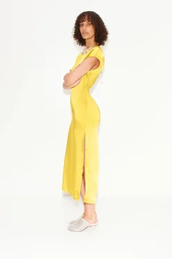 Argan Satin Dress in Star Gold