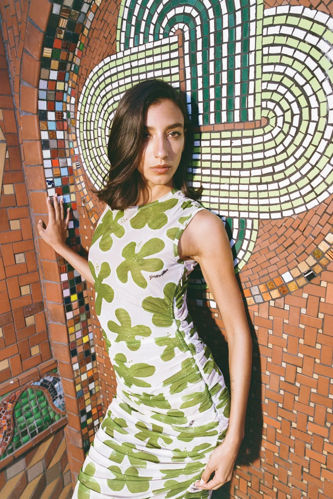 Tangier Printed Mesh Dress in Green/Seashell Floral